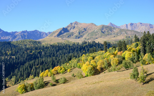 autumn in the mountains photo