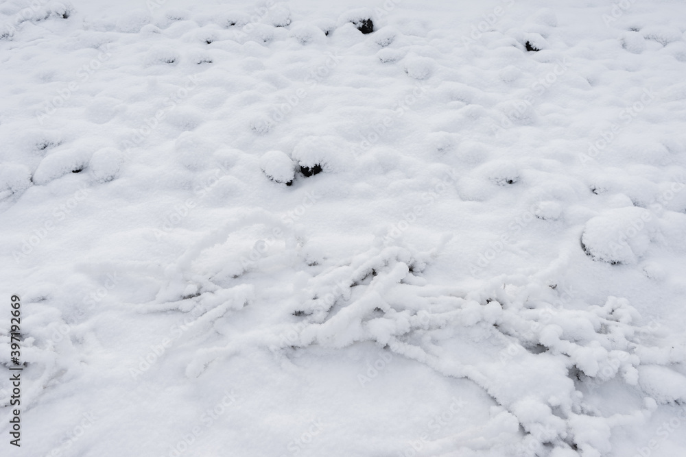 Detailed view of the snow-covered dug up ground in winter. natural winter texture ground
