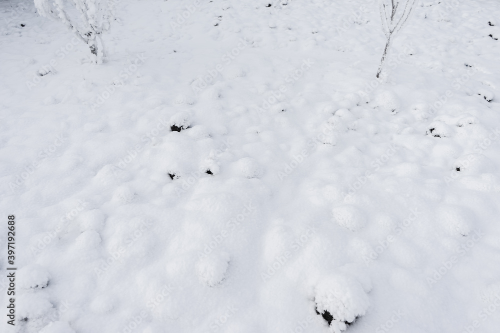 Detailed view of the snow-covered dug up ground in winter. natural winter texture ground