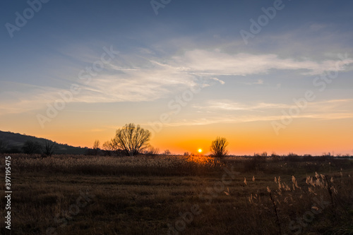 Fototapeta Naklejka Na Ścianę i Meble -  setting sun in a nature rerserve with reed and trees
