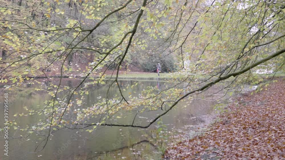 Long tree branches fall on the water of a lake in autumn. Slow motion 4K Long tree branches fall on the water of a lake in autumn. Slow motion 4K