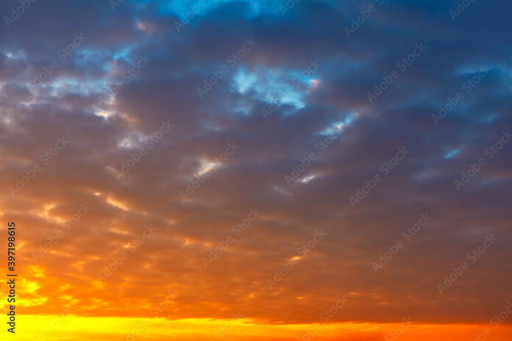 Cirrocumulus clouds in the dawn . Fantastic morning sky 