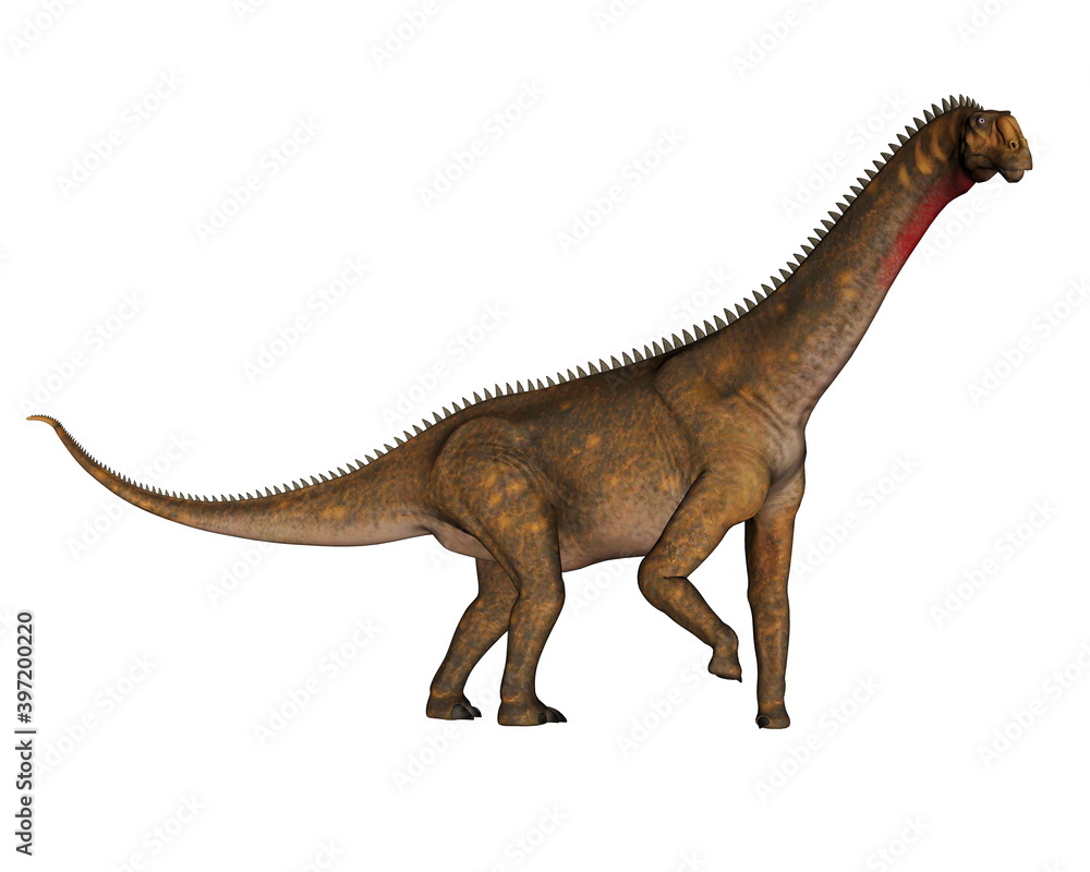 Fototapeta premium Mesiasaurus dinosaur walking isolated in white background - 3D render