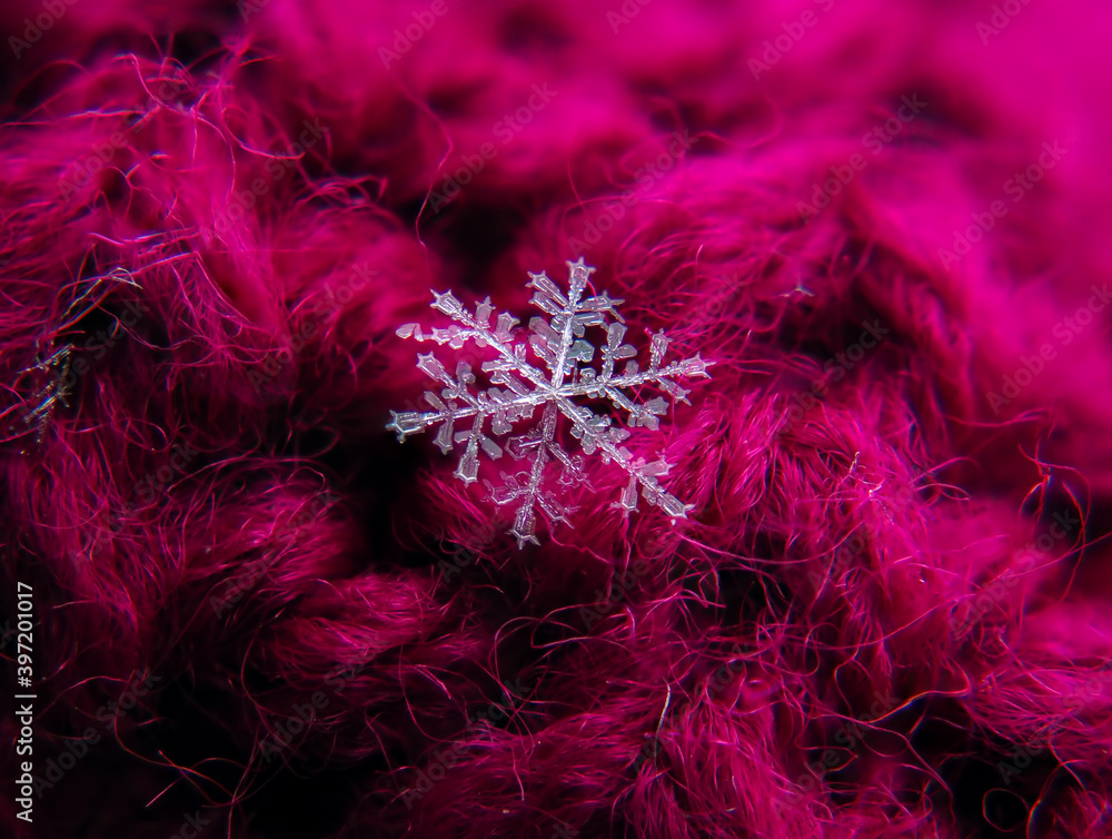 Snowflake beautifull on the colorful background macro Snowflake beautifull on the colorful background macro