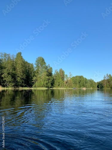 Fototapeta Naklejka Na Ścianę i Meble -  Trees on the lake