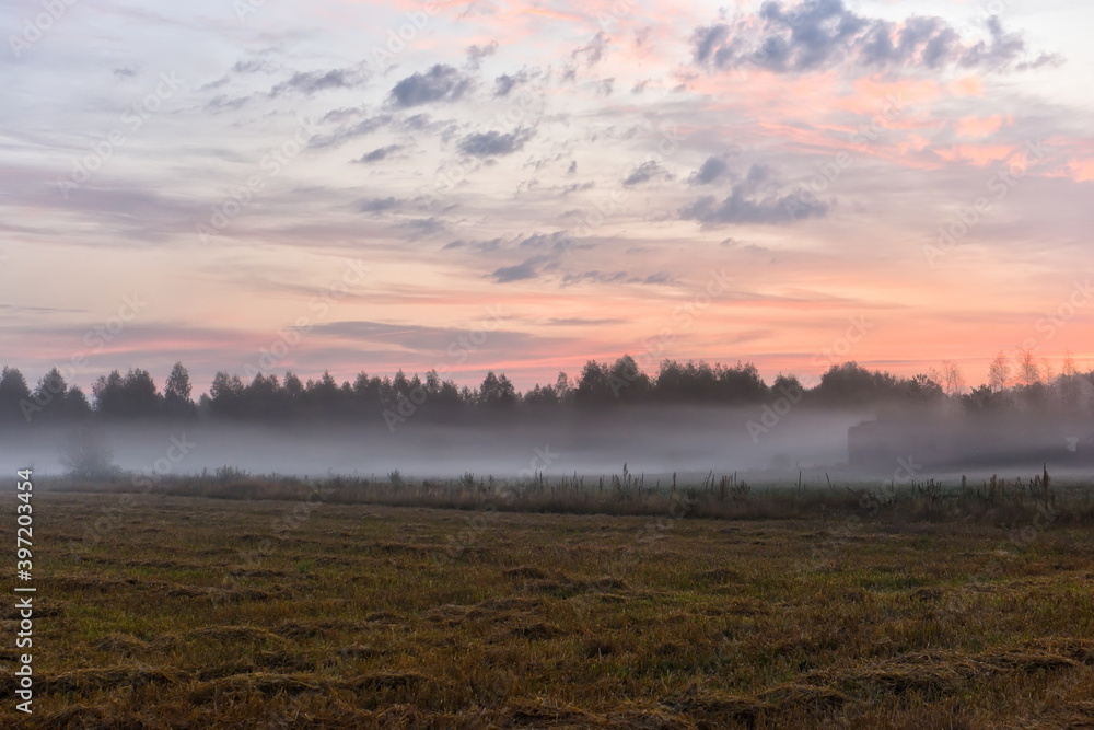 An early, gentle morning in the fields with the harvest. Mown grass and fog over the field. An early, gentle morning in the fields with the harvest. Mown grass and fog over the field.