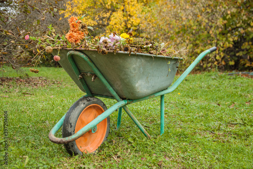 Garden steel robust wheelbarrow with garden garbage. Concept preparing garden for winter season
