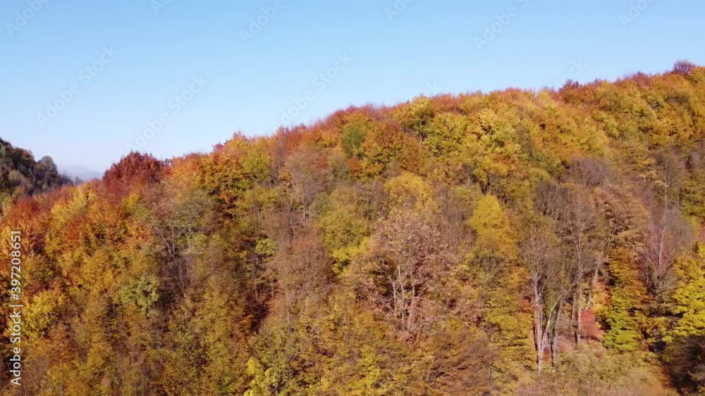 Beautiful autumn forest from above at sunset. Aerial view of the forest in autumn season with different coloured leaves Beautiful autumn forest from above at sunset. Aerial view of the forest in autumn season with different coloured leaves
