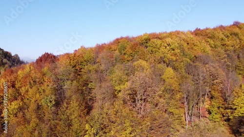 Wallpaper Mural Beautiful autumn forest  from above at sunset. Aerial view of the forest in autumn season with different coloured leaves Torontodigital.ca