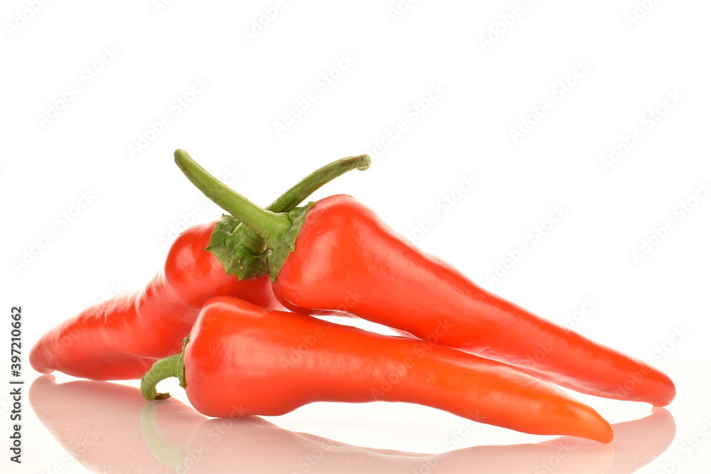 Several red sweet, natural peppers, close-up, isolated on white. Several red sweet, natural peppers, close-up, isolated on white.