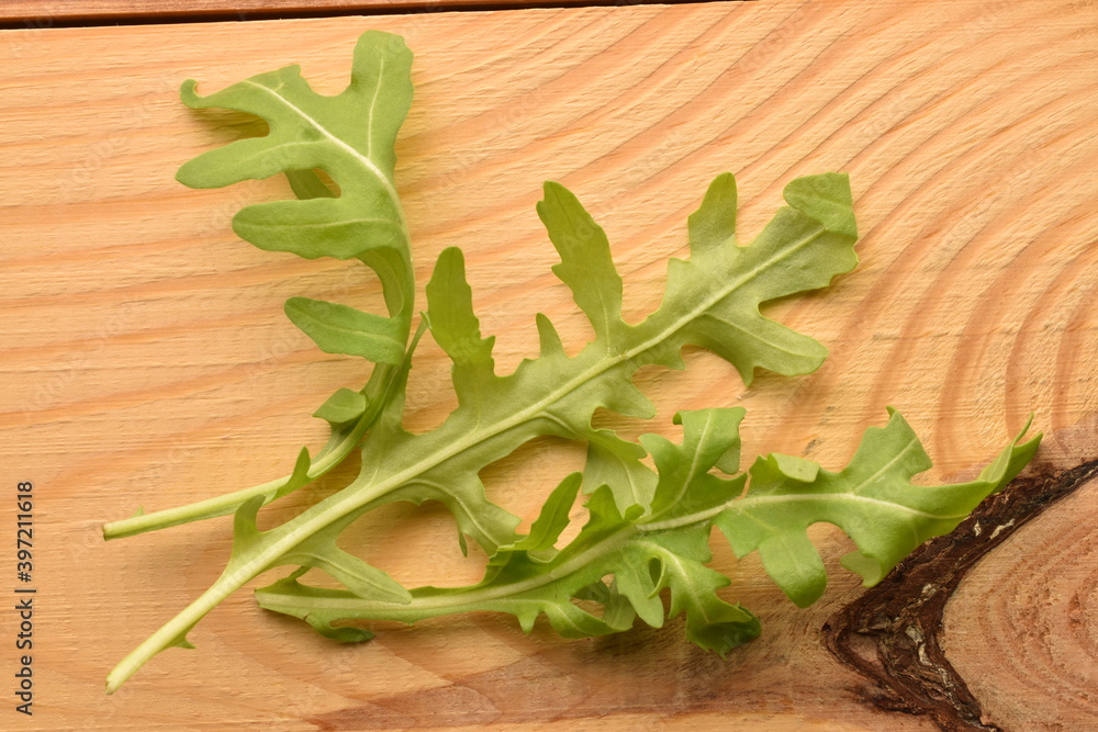 Fresh arugula, close-up, on a wooden table. Fresh arugula, close-up, on a wooden table.