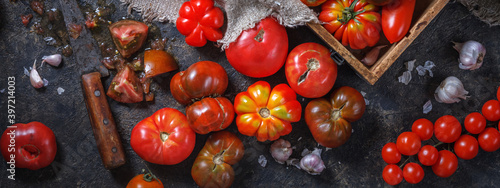 Kitchen panorama, banner - colorful ripe organic heirloom varieties tomatoes with knife and wooden box on a dark table background. The concept of harvesting and processing vegetables.