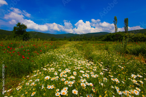 Lake Eber, situated between Cay and Bolvadin districts of Afyon, is the 12th biggest lake of Turkey photo