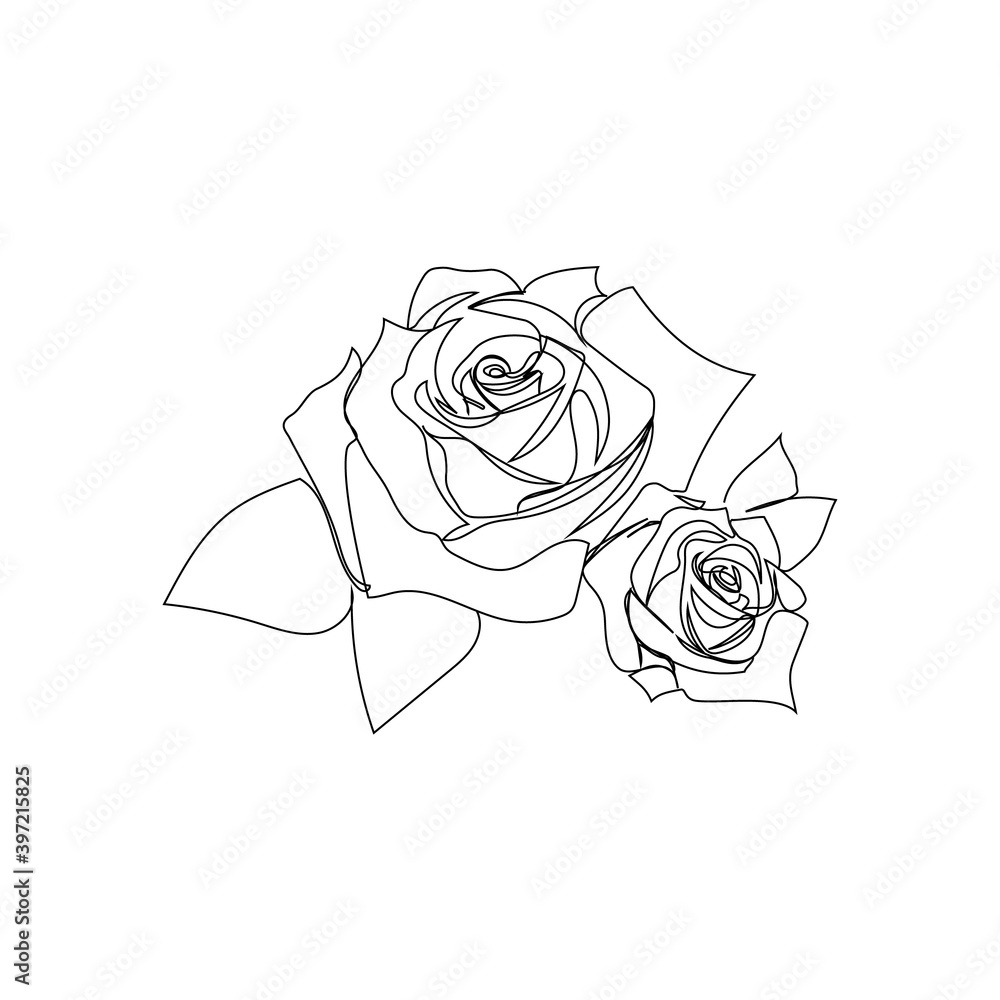 Fototapeta Beautiful one line drawing of rose flowers - vector illustration