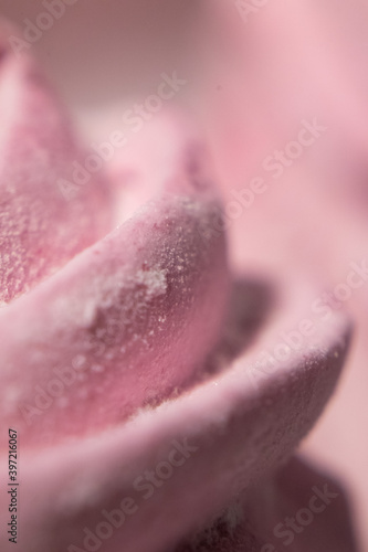 Abstract macro lines meringue. Colored sweet pink dessert zephyr or marshmallows in pastel colors. close-up, selective focus.