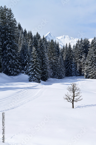 Winterlandschaft im Kleinwalsertal mit Langlaufloipe © Werbewind GmbH