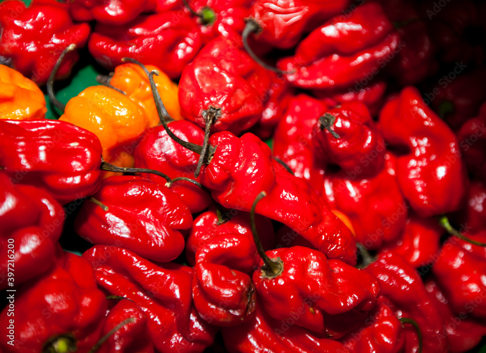 Close-up of red chillies in grocery store