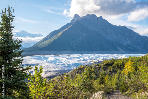 Root trail to glacier, Kennicott, Alaska.