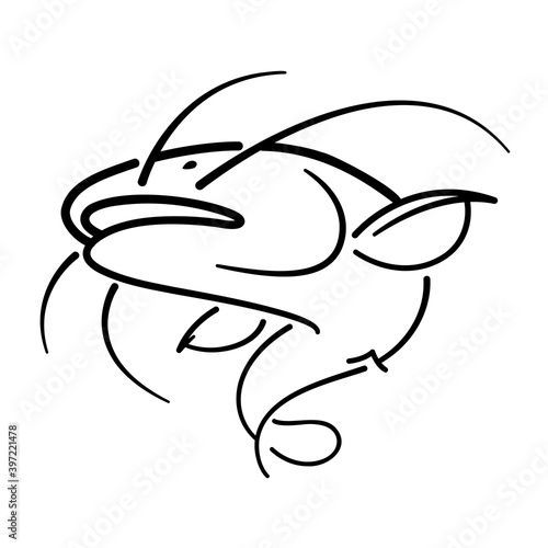 Black line catfish on white background