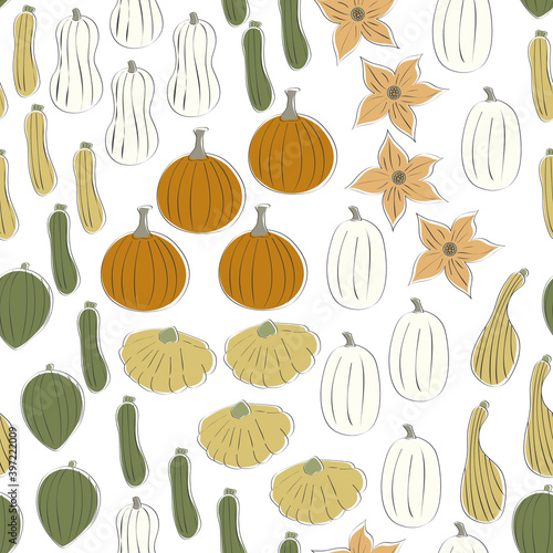 Vector Vegetables Squash Pumpkins in Orange Green Yellow White Scattered on White Seamless Repeat Pattern. Background for textiles, cards, manufacturing, wallpapers, print, gift wrap and scrapbooking.