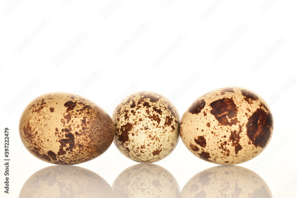 Several fresh quail eggs, close-up, isolated on white.