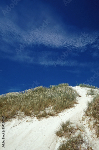 Sommertag in Juetland photo