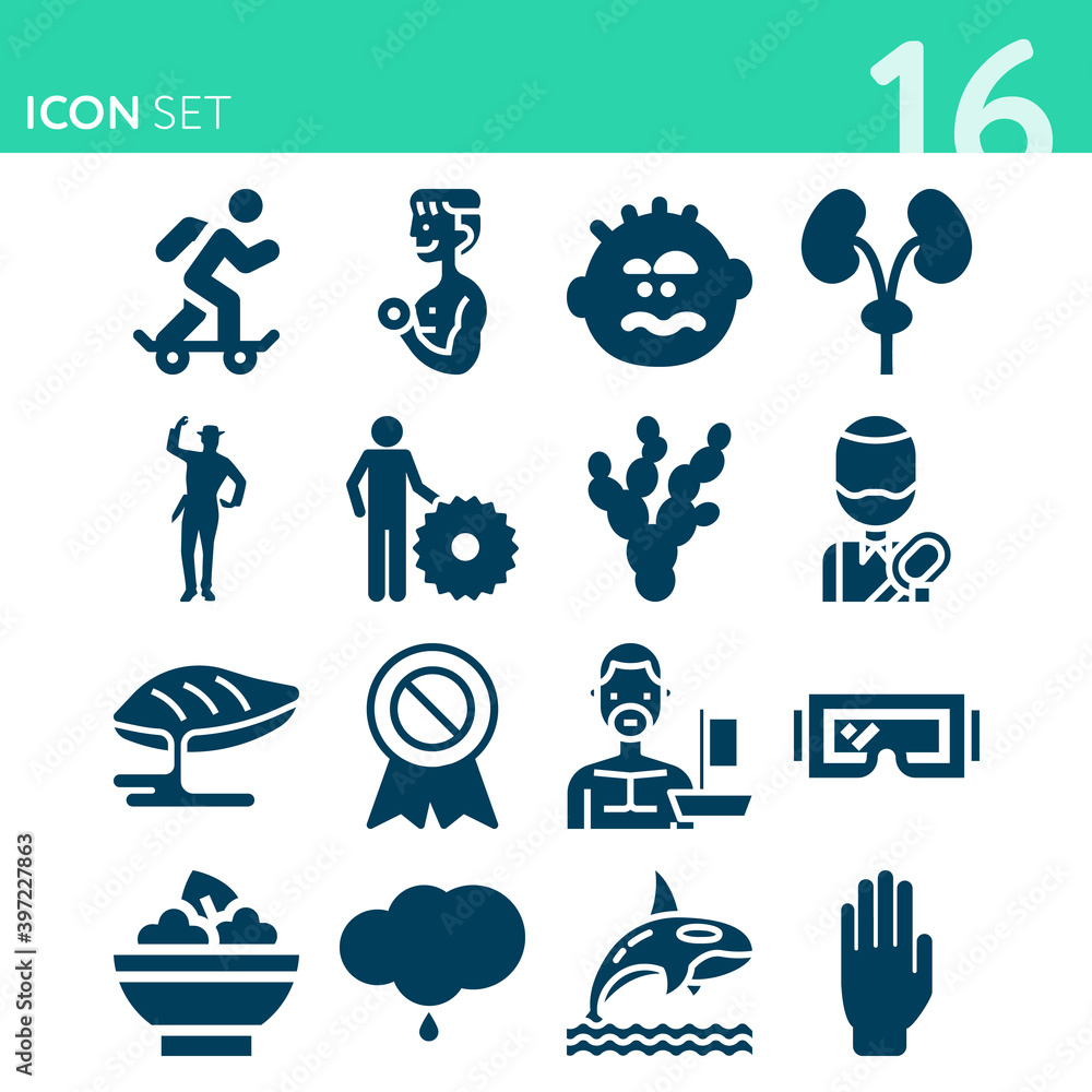 Simple set of 16 icons related to chicken