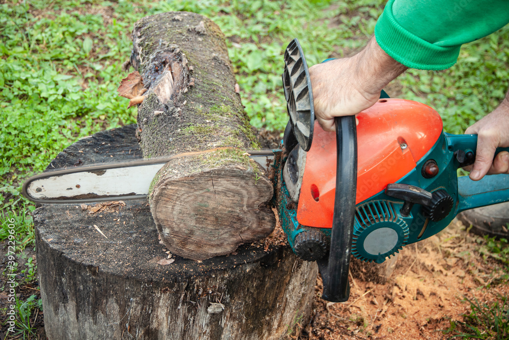A man hand sawing up tree trunk with a chainsaw. Concept of gardening, garden worker, wood cutting A man hand sawing up tree trunk with a chainsaw. Concept of gardening, garden worker, wood cutting