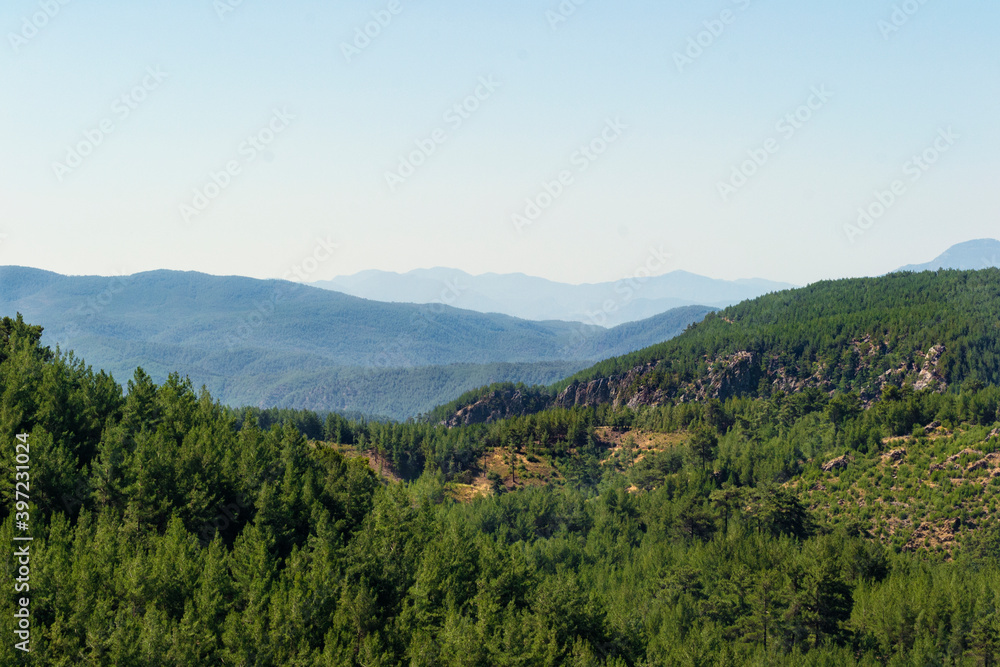 A mountain top covered in bright green foliage, with rolling hills and bright blue sky in background.