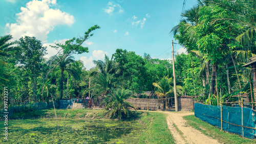 Beautiful Village house and green 