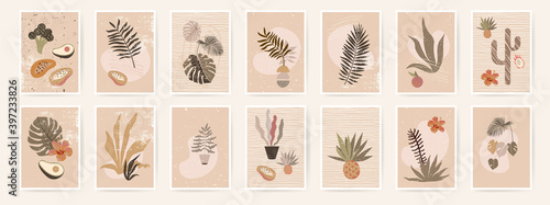 Abstract botanical wall art posters. Fluid organic shapes, neutral natural colors. Contemporary collage artistic wall prints. Mid Century Modern design. Plant abstraction posters. Vector illustration
