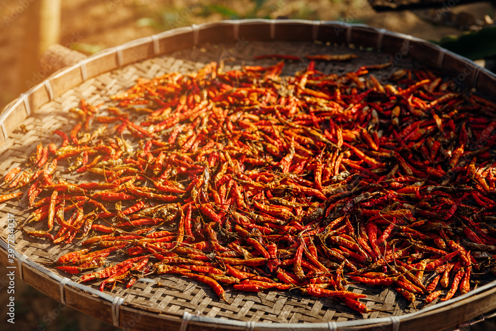 Thai red chilli paste sun dried in wooden tray. Thai red chilli paste sun dried in wooden tray.