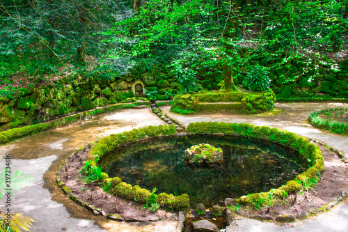 Beautiful garden near the Pena Palace. The green park in Sintra, Portugal with architecture.  photo