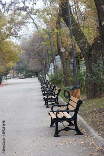 Benches in the city park. Symmetry © koray