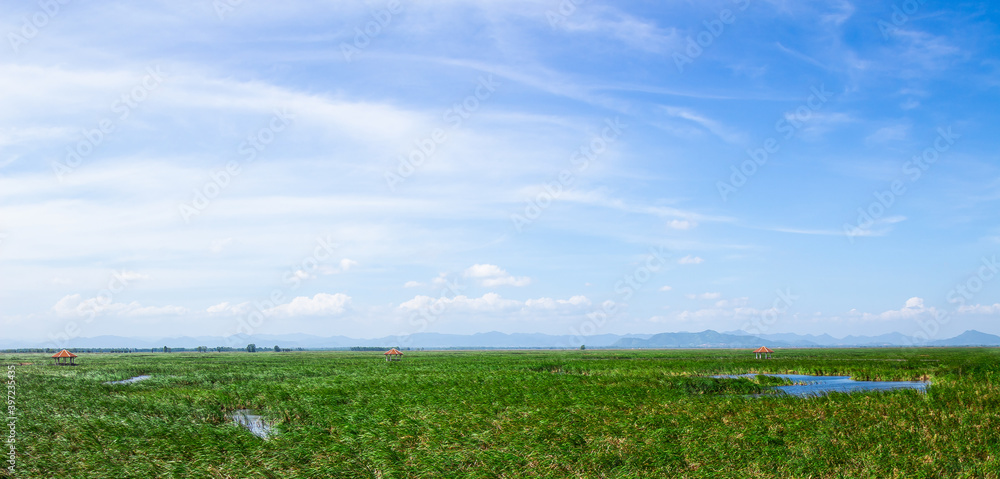 Green meadow and blue sky background. Khao Sam Roi Yot, Prachuap Khiri Khan, Thailand, Asia