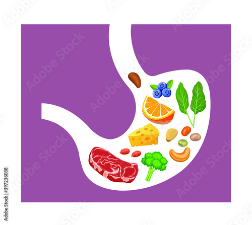 Human stomach full of healthy foods vector illustration.