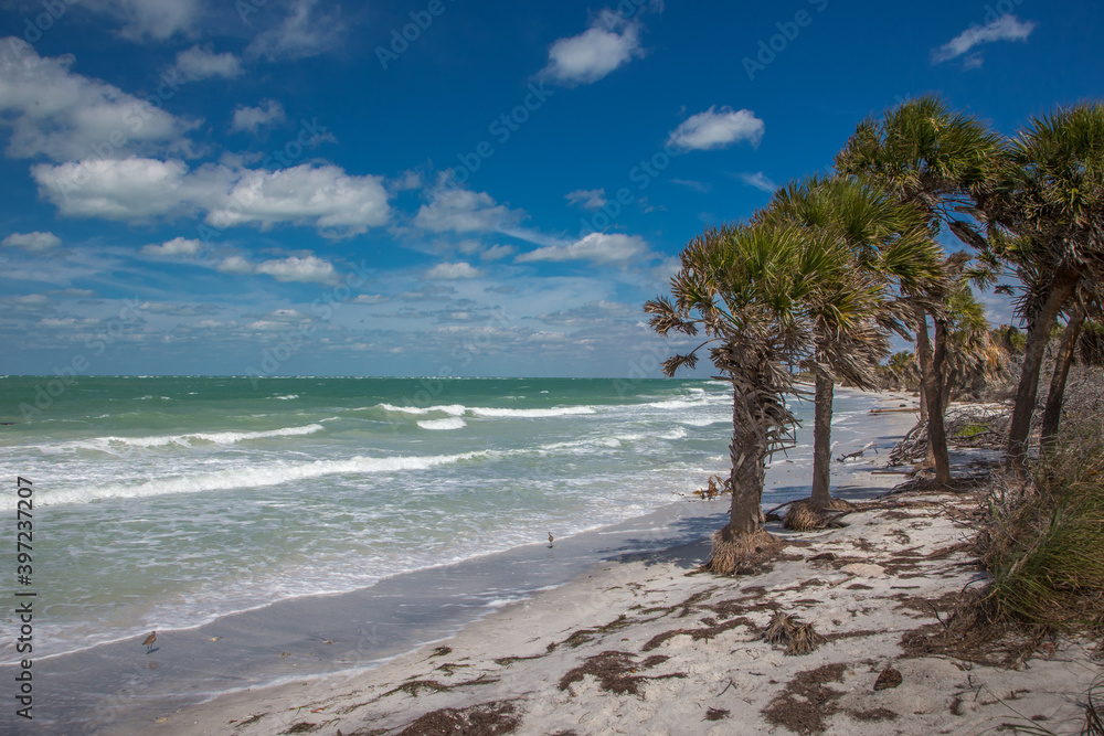Wild uninhabited shore of Egmont Key State Park on the Gulf of Mexico on the west coast of Florida Wild uninhabited shore of Egmont Key State Park on the Gulf of Mexico on the west coast of Florida