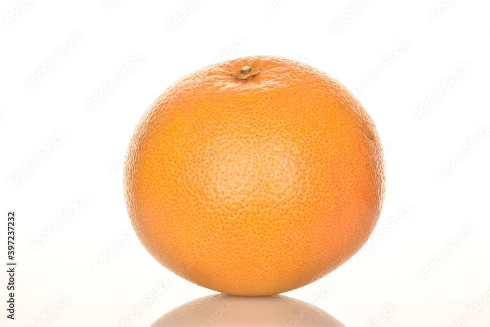 organic ripe grapefruits, close-up, isolated on white. organic ripe grapefruits, close-up, isolated on white.