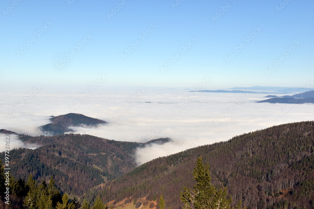Inversionwetterlage im Schwarzwald