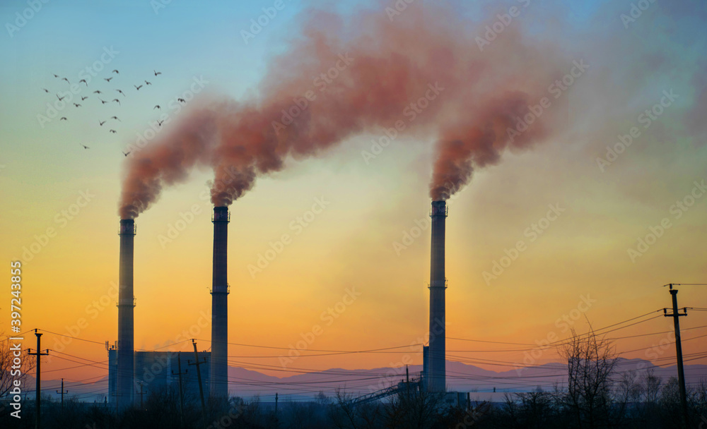 Industrial smoke stack of coal power plant. Burning coal. Pollution of nature, of the planet. Birds in flight.