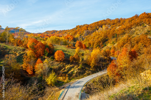 autumn landscape with road