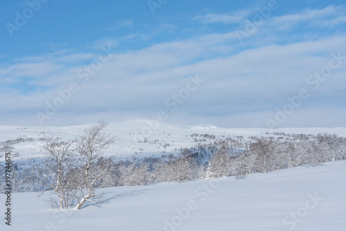 Wallpaper Mural Winter landscapes from Holtaalen, Norway. Torontodigital.ca