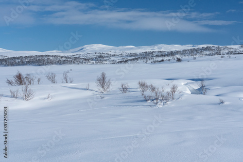 Winter landscapes from Holtaalen, Norway. © Johannes Jensås