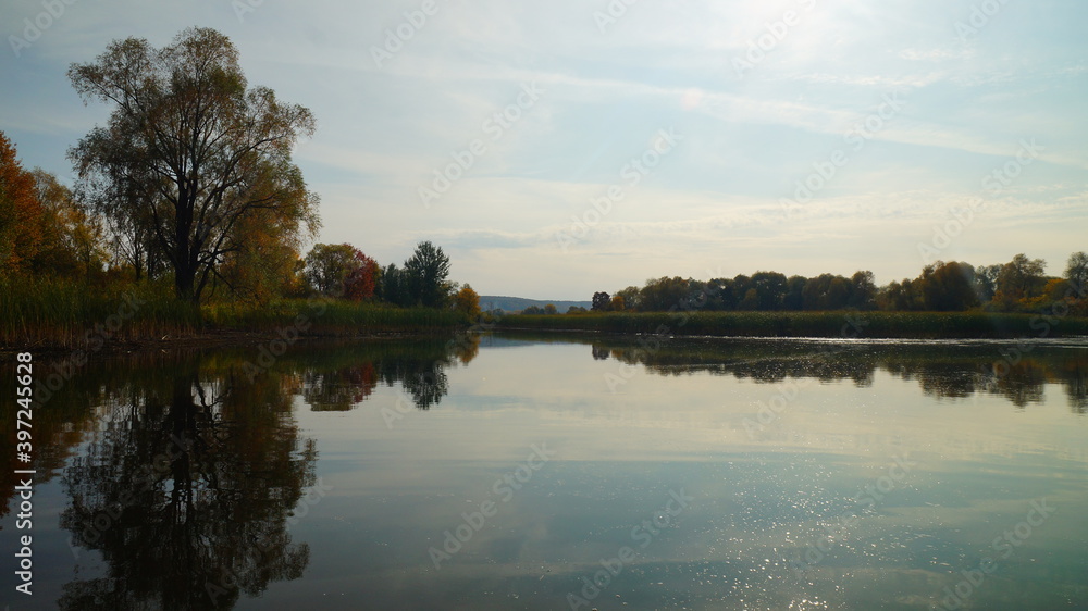 Fototapeta premium reflection of trees in the water