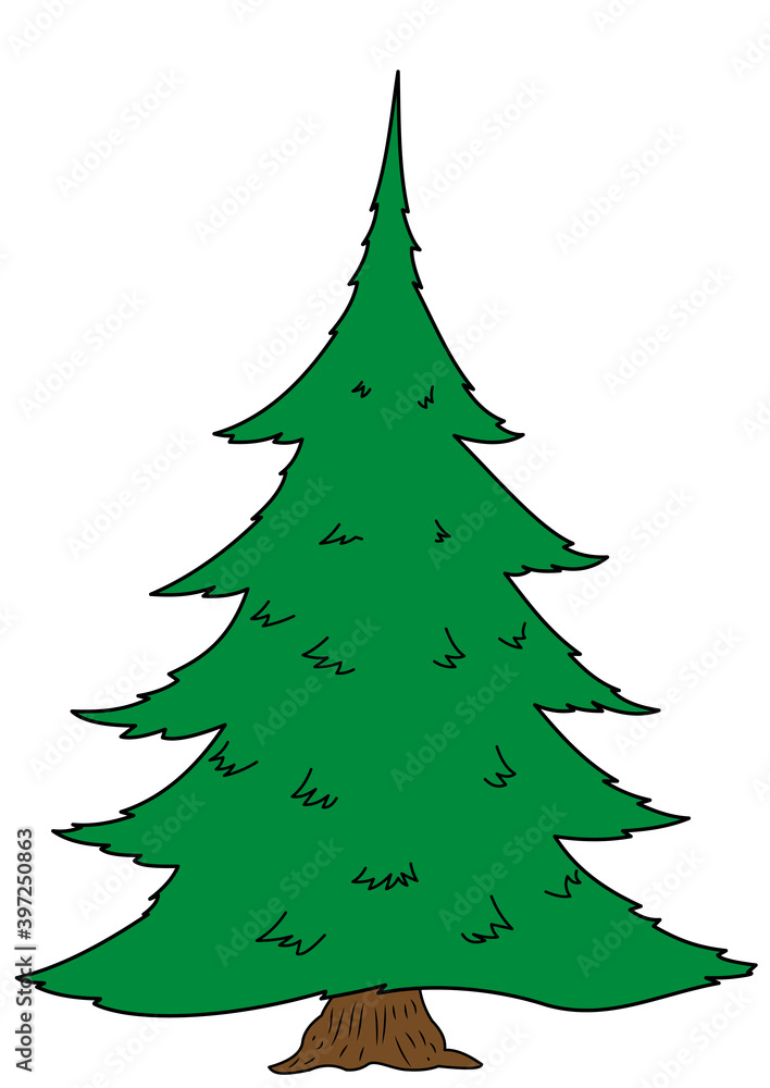 Big spruce