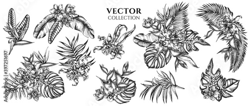 Flower bouquet of black and white monstera, banana palm leaves, strelitzia, heliconia, tropical palm leaves, orchid
