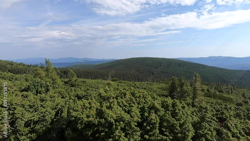 Panoramic view of the Carpathian Mountains on a warm clear summer day Panoramic view of the Carpathian Mountains on a warm clear summer day