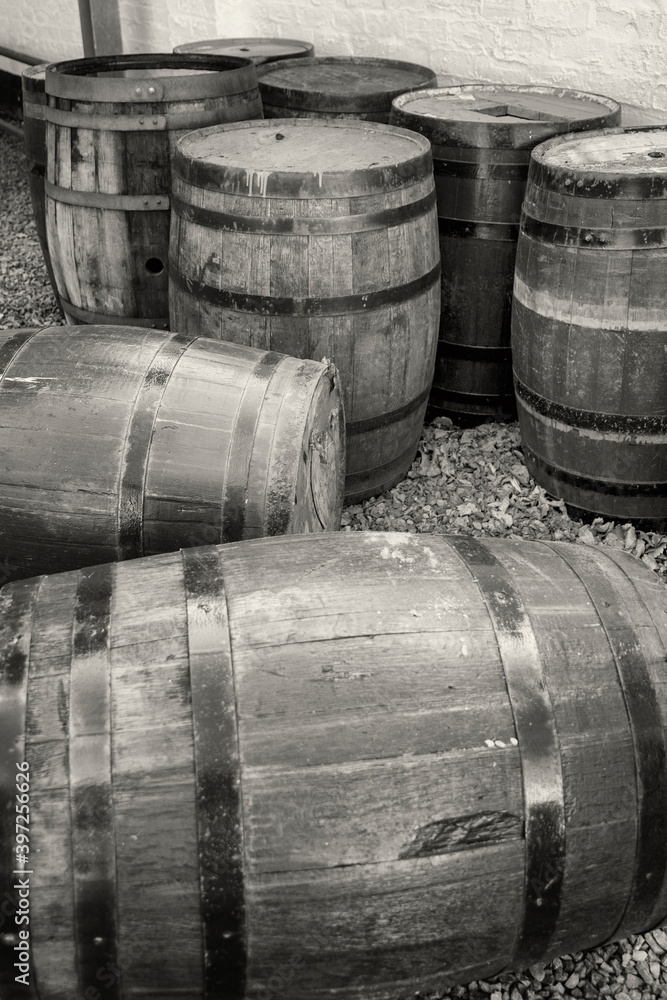 A group of old whisky barrels left outside to weather in the elements. A group of old whisky barrels left outside to weather in the elements.