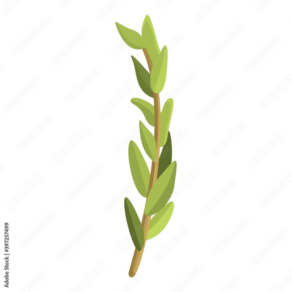 Fototapeta premium Raw thyme icon. Cartoon of raw thyme vector icon for web design isolated on white background