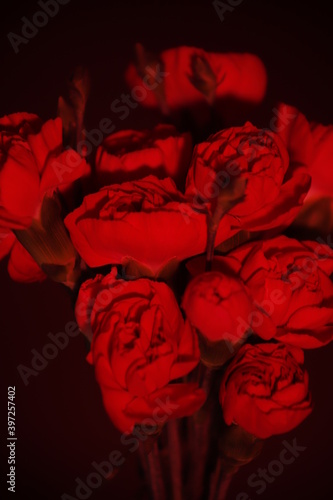 Bukiet kwiatów podświetlony na czerwono